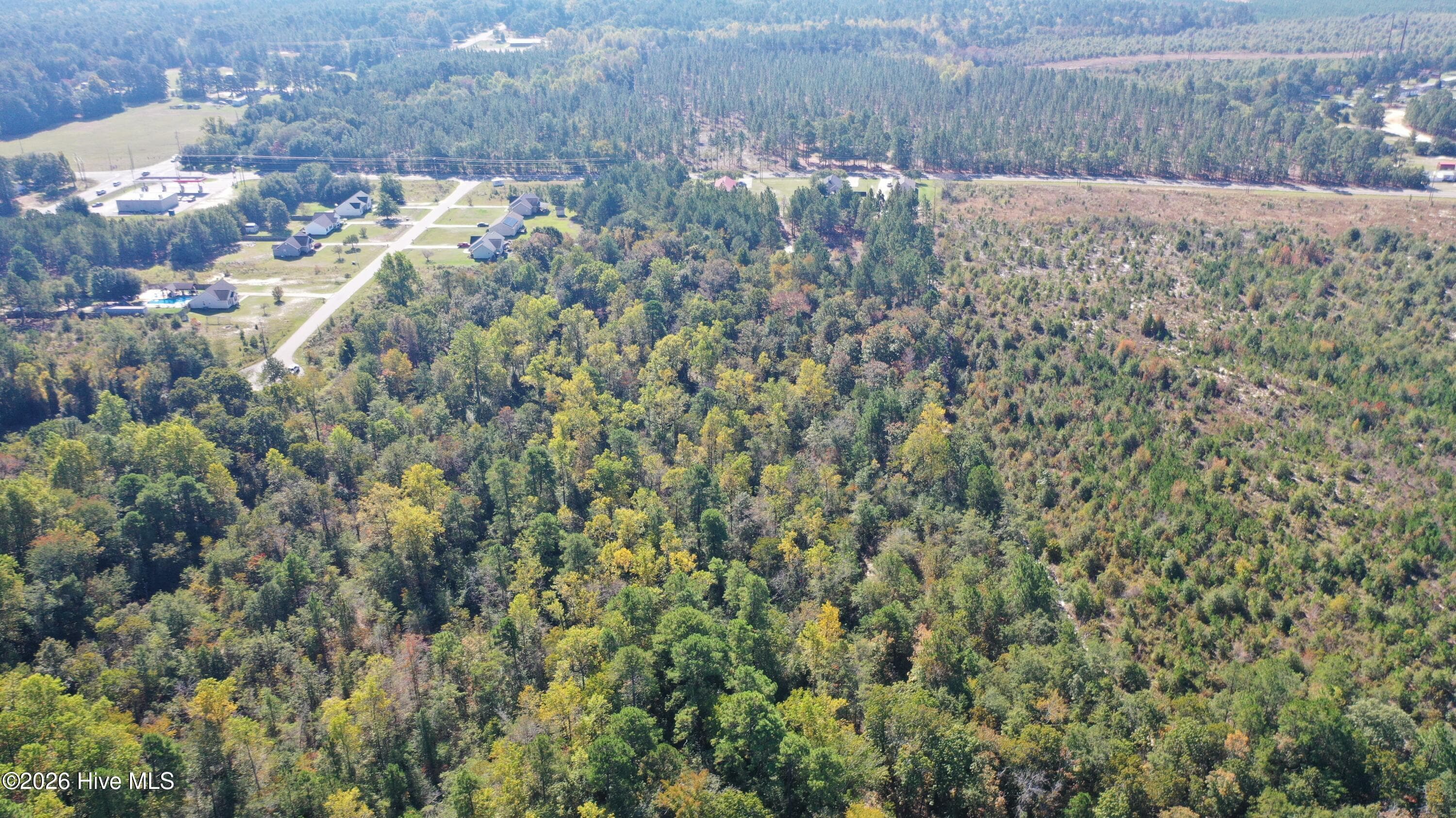 Undeveloped at 695 County Home Road, Hamlet, NC 28345, photo 4 of 6