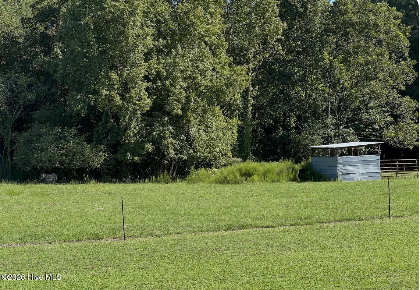 Pasture - 642 Enoch Road, Clinton, NC 28328
