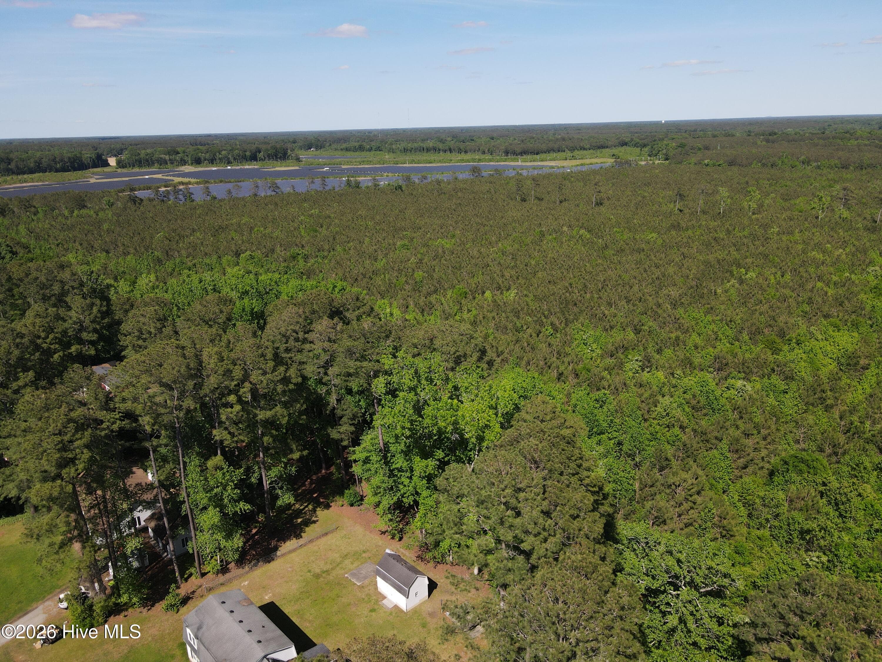 Undeveloped at 0 Colice Hall Lane, Ahoskie, NC 27910, photo 18 of 20