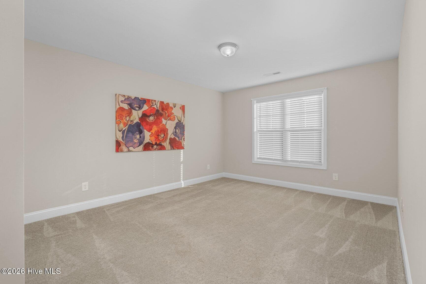 Single Family Residence at 810 Mulberry Road, Spring Hope, NC 27882, photo 24 of 48