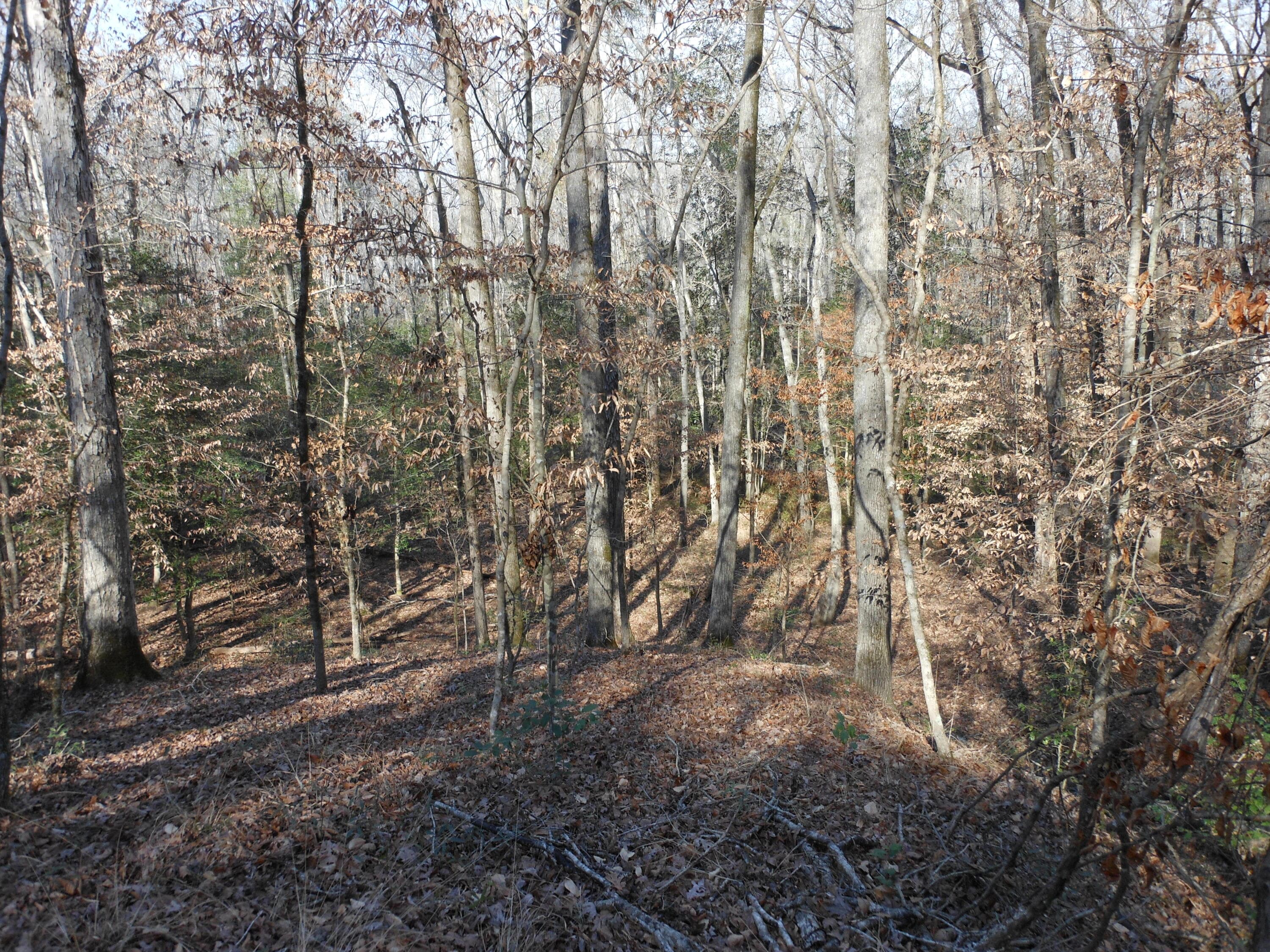 Undeveloped at 0 Ponderosa Road, Waynesboro, GA 30830, photo 42 of 45