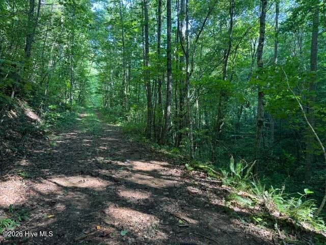 5 Tyler Lane, Marble, NC 28905