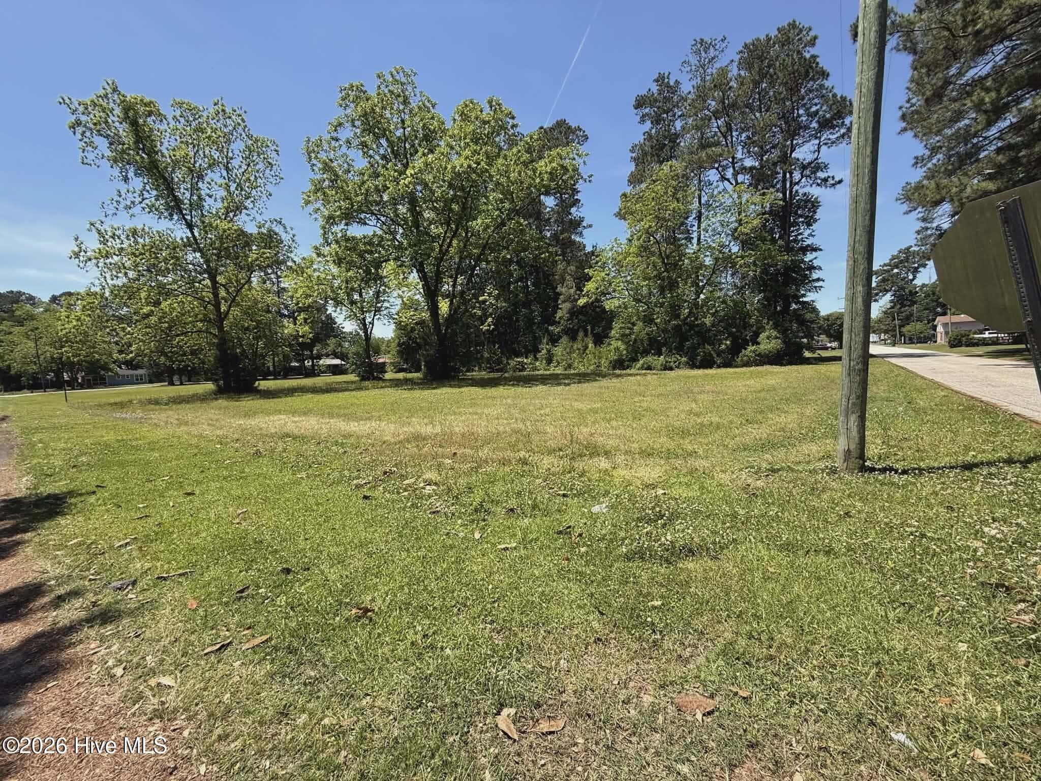 Residential Lot at Lot 98 Near 210 E 5th Avenue, Chadbourn, NC 28431, photo 3 of 4
