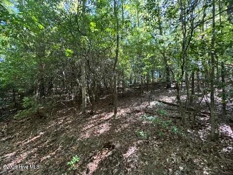 Residential Lot at Lot 1 1 Laurelwood Circle, Murphy, NC 28906, photo 18 of 24
