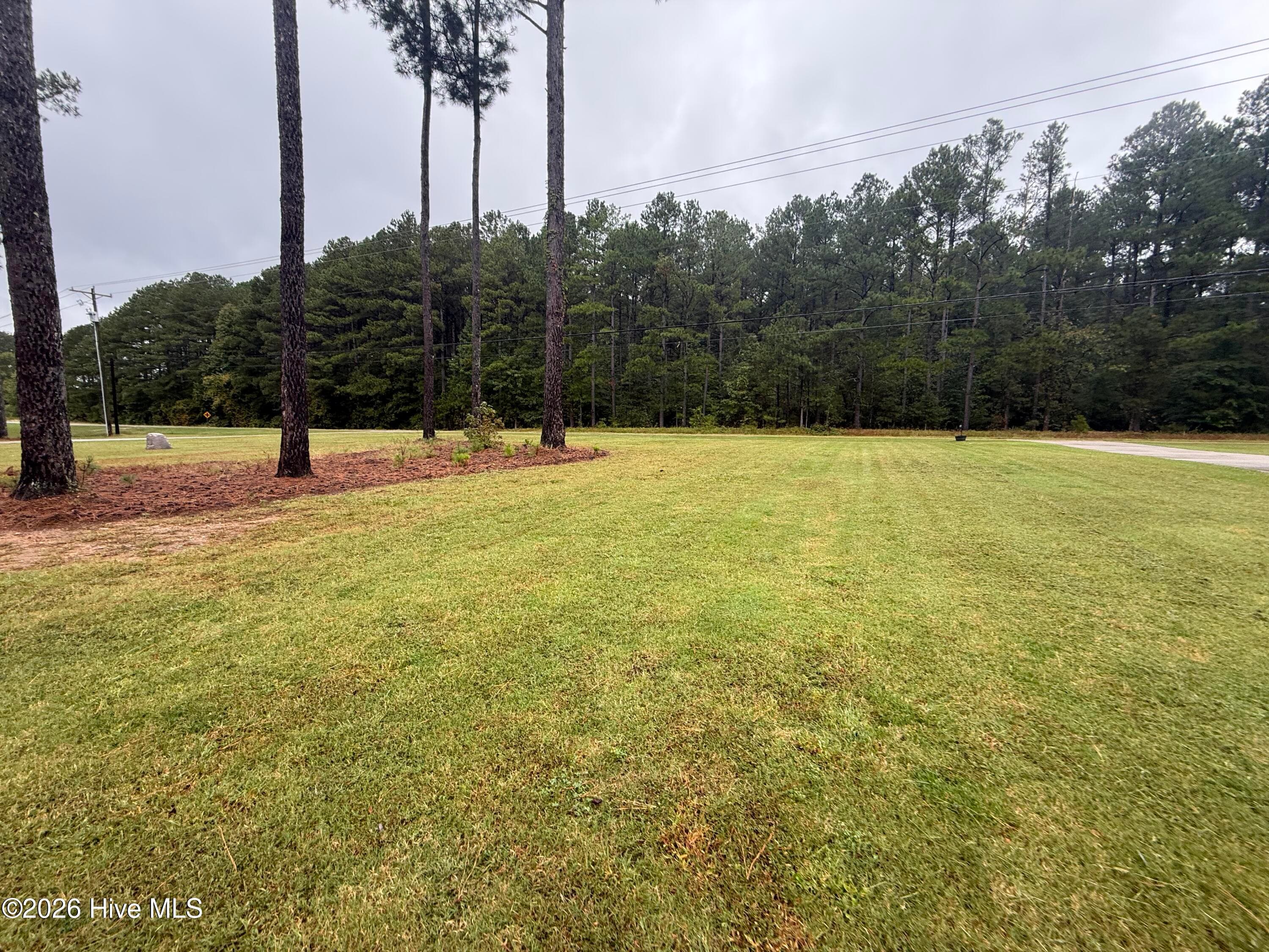 Single Family Residence at 8281 Us Highway 264a, Bailey, NC 27807, Bailey, photo 8 of 65