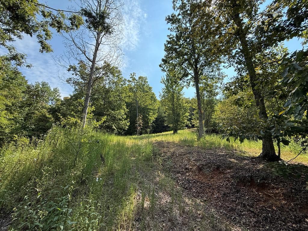 Residential Lot at 123 Madison Lane, Murphy, NC 28906, photo 2 of 10