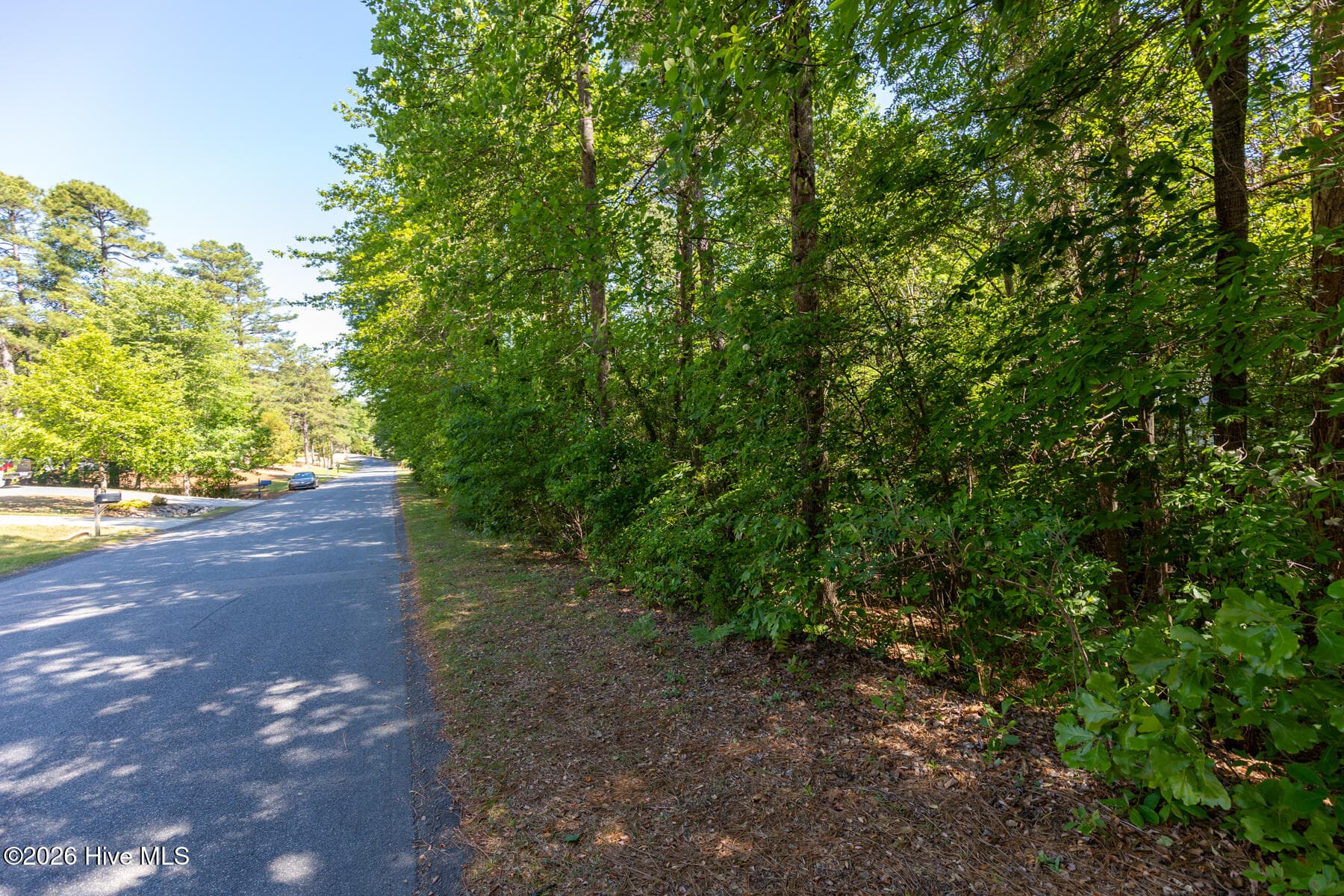Wooded at 305 Kingswood Circle, Pinehurst, NC 28374, photo 4 of 6