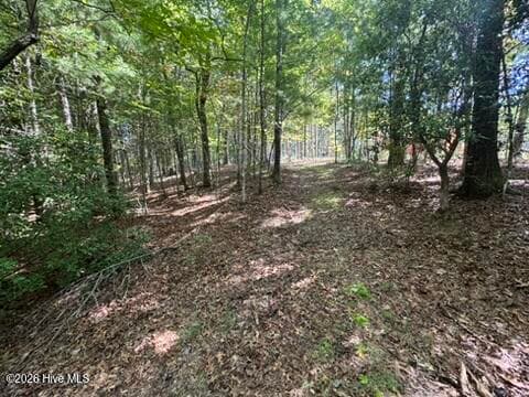 Residential Lot at Lot 1 1 Laurelwood Circle, Murphy, NC 28906, photo 13 of 24