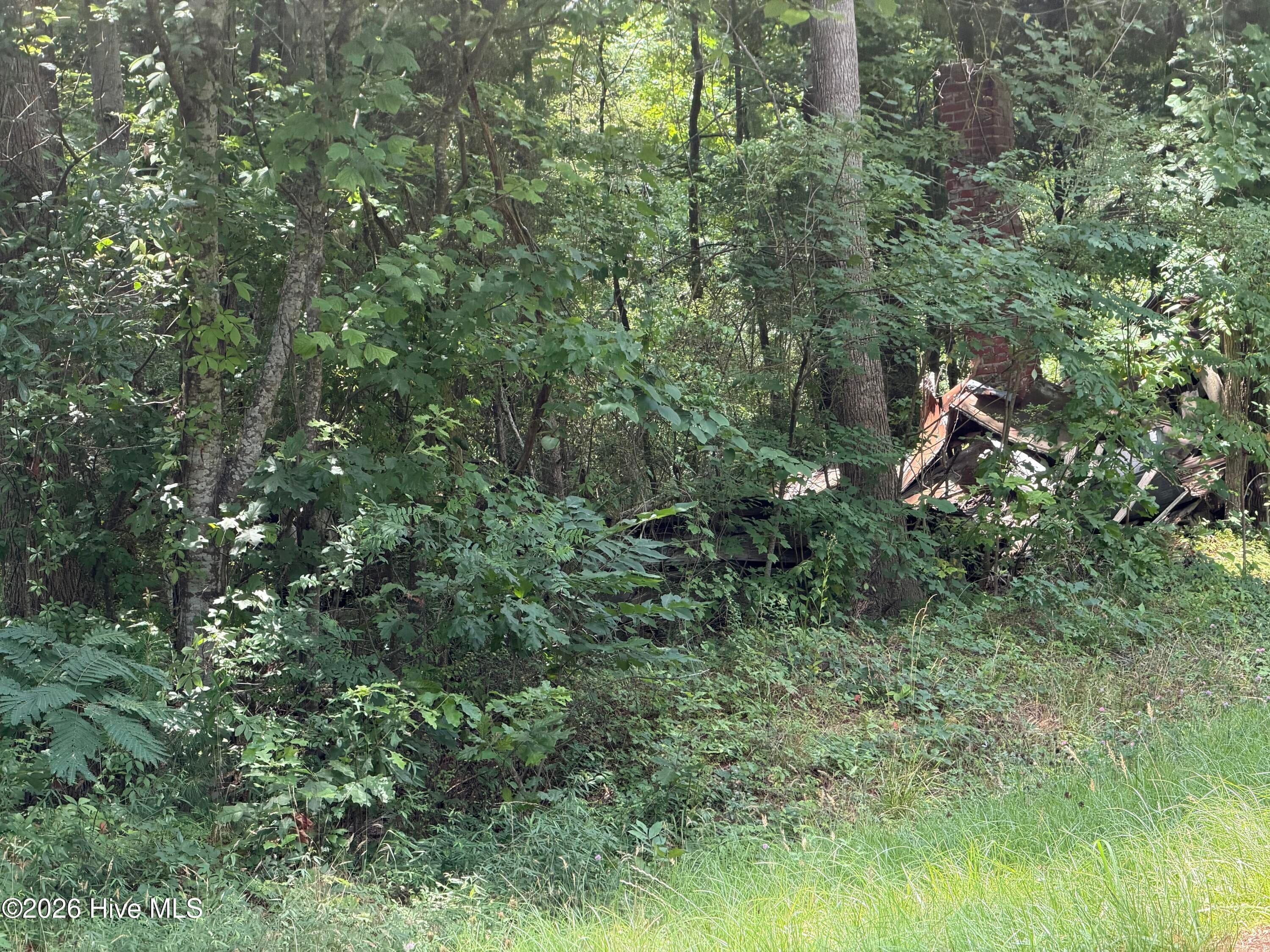 Old house that has fallen down on Dublin Run Road. - 0 Sr 1916 & 1917, Aurora, NC 27806