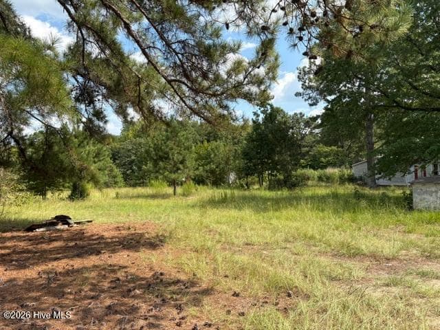 Mobile Home Lot at 3832 11 Watson Seed Farm Road, Whitakers, NC 27891, photo 2 of 2