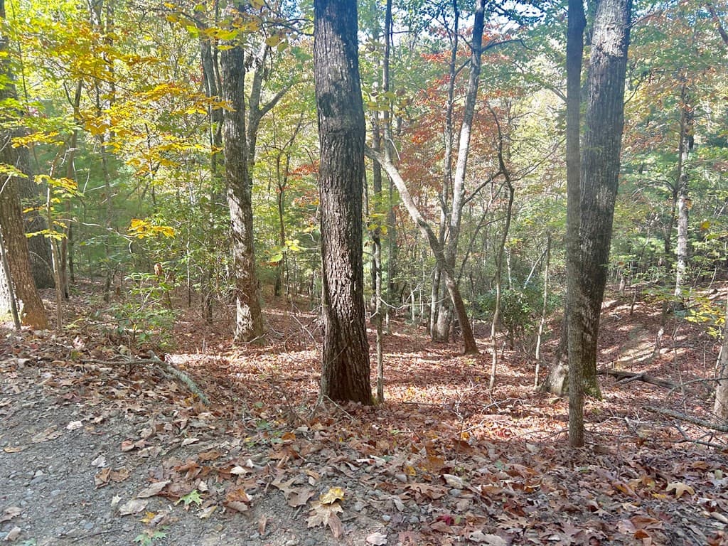 Residential Lot at Lot 4 4 Ridgeline, Brasstown, NC 28902, photo 2 of 4