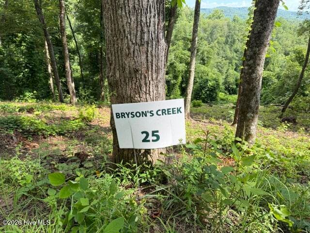 Residential Lot at Lot 25 25 Bryson Creek Drive, Murphy, NC 28906, photo 2 of 7