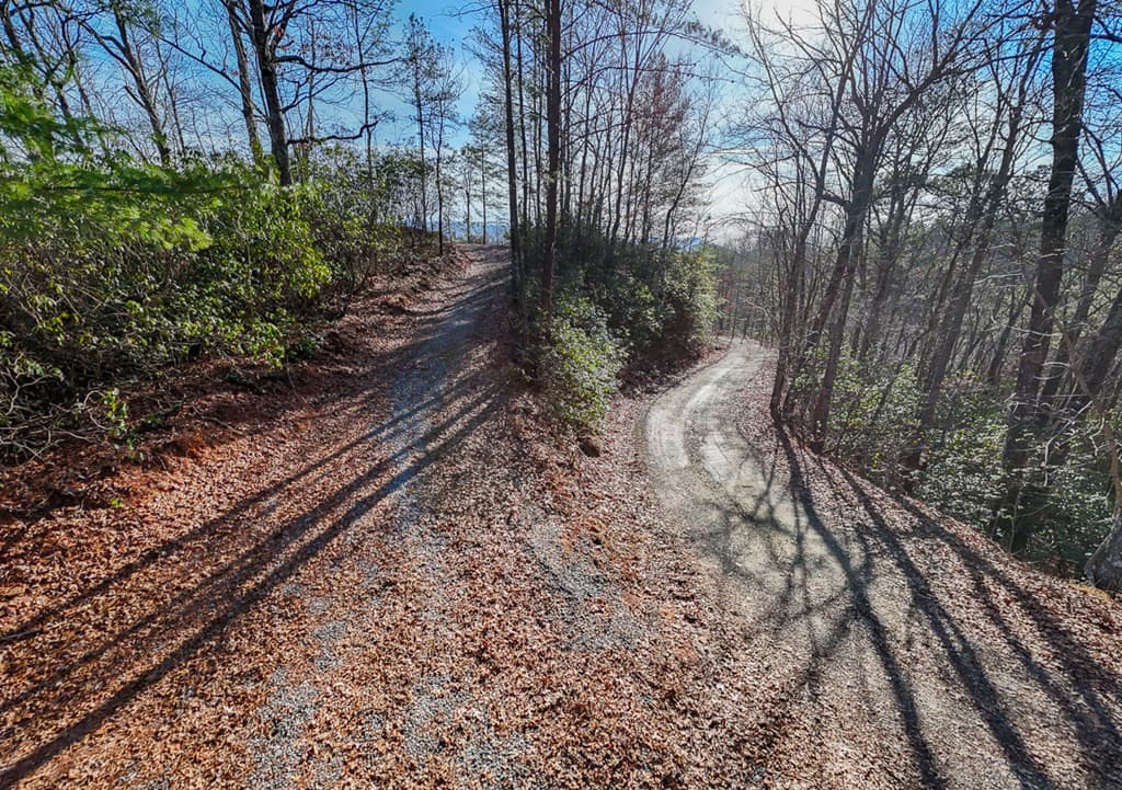 Undeveloped at 430 Live Oak Terrace, Andrews, NC 28901, photo 3 of 3