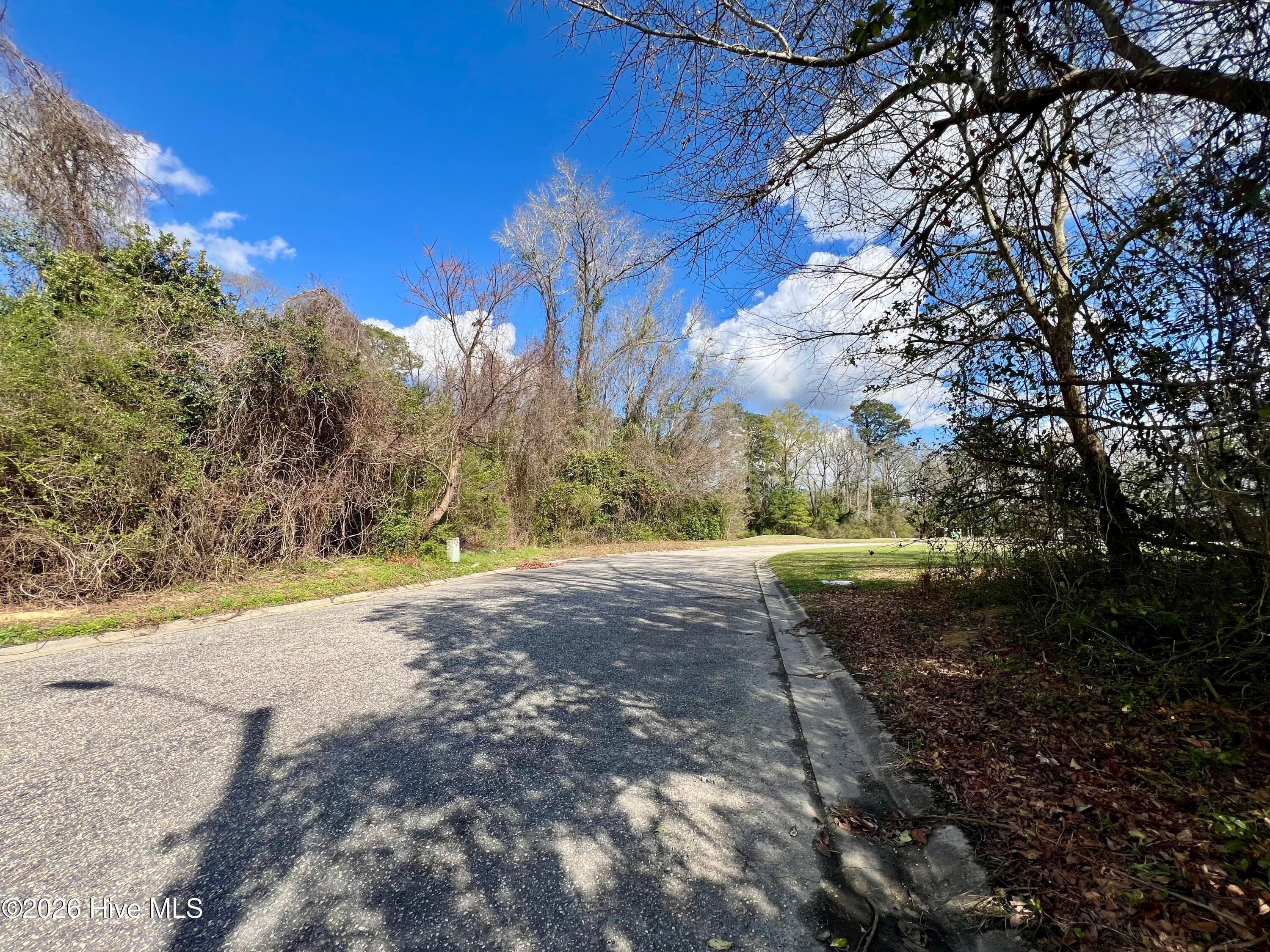 Wooded at 615 Pecan Lane, Whiteville, NC 28472, photo 8 of 10