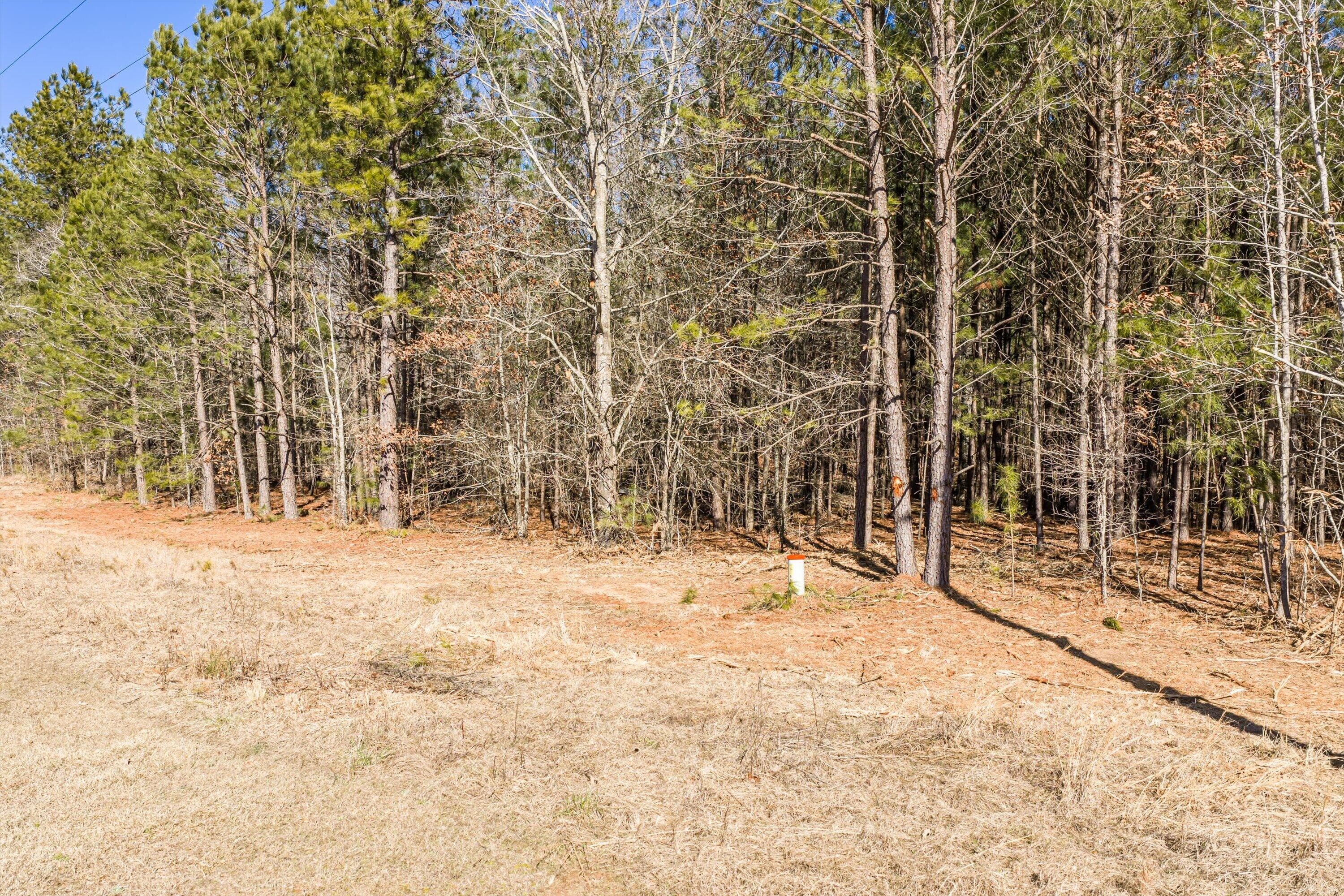Residential Lot at 1036 116 Chennault Drive, Tignall, GA 30668, photo 10 of 18