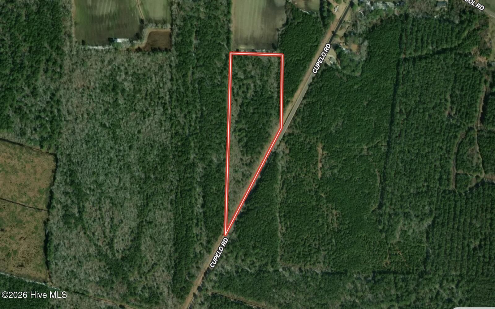 4 Cupelo Road, Farmville, NC 27828