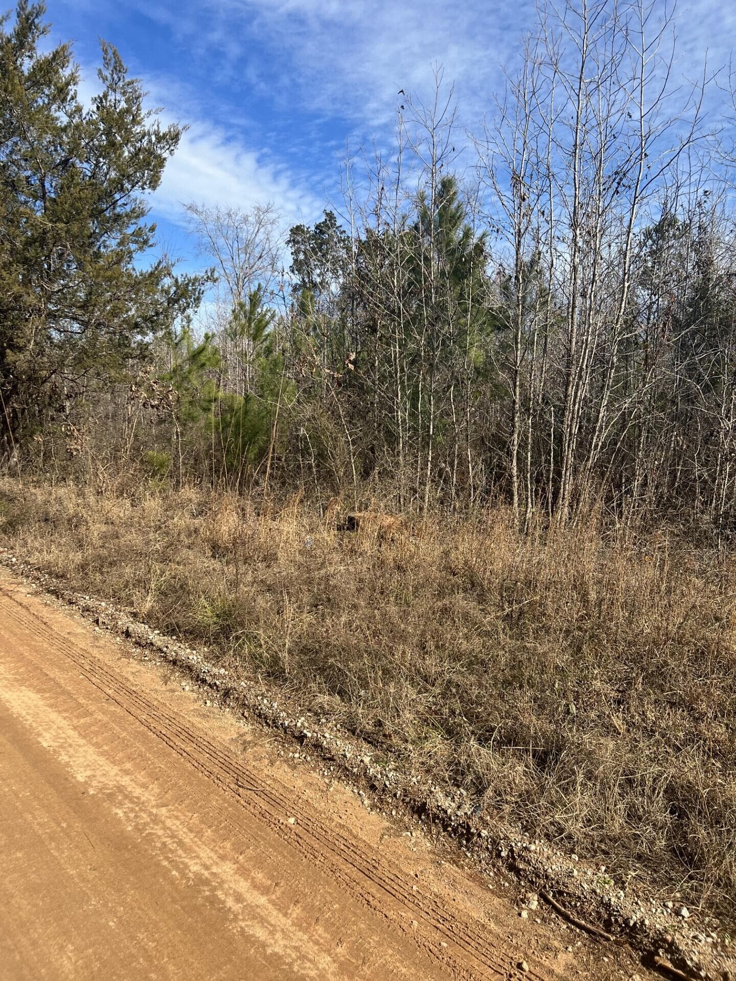 Residential Lot at 0 Clanton Road, Evans, GA 30809, photo 8 of 10