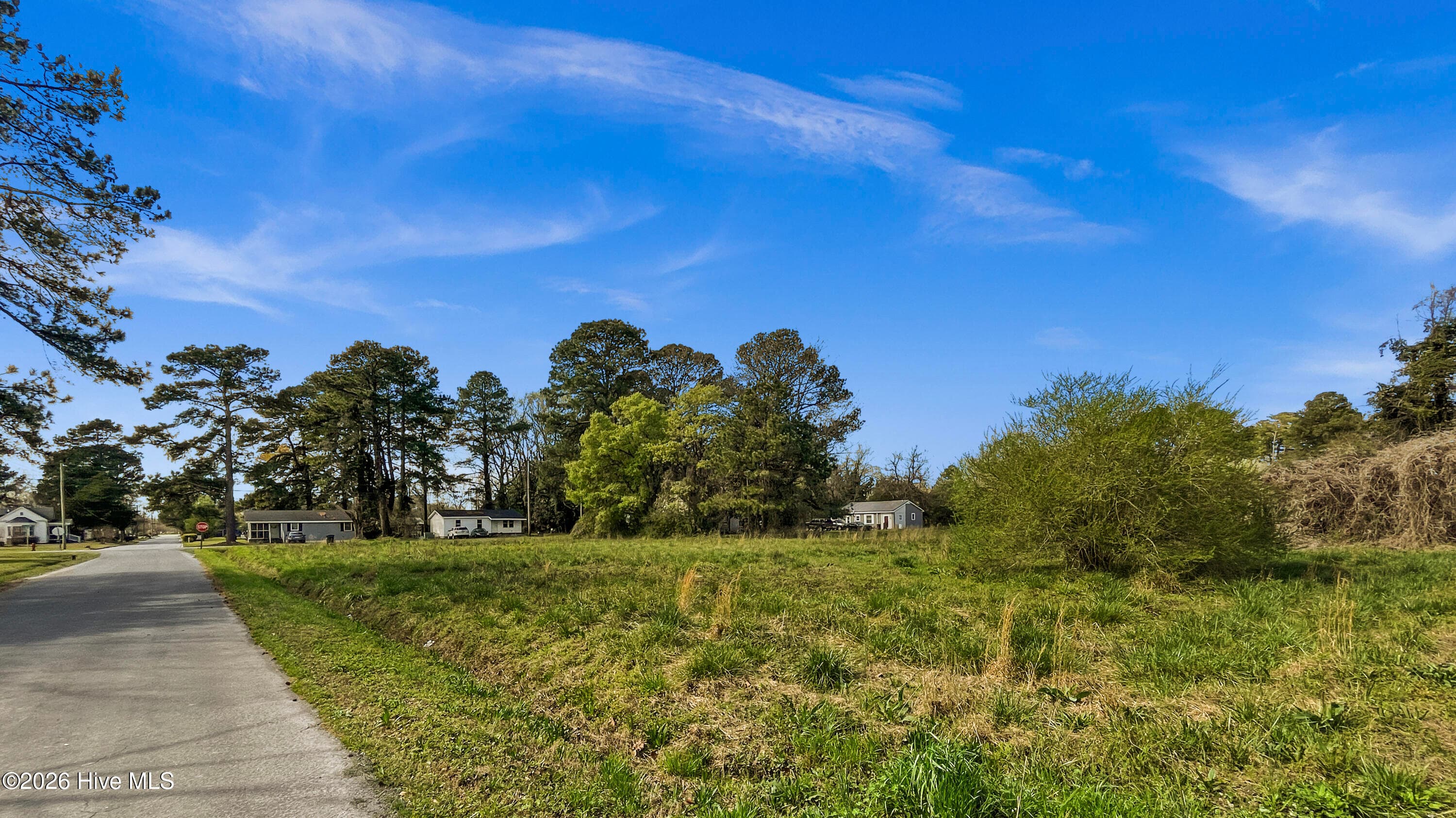 Residential Lot at 0 E George Street, Warsaw, NC 28398, photo 14 of 29