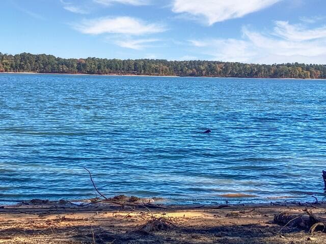 Residential Lot at 18 S Pointe Cove, Lincolnton, GA 30817, photo 6 of 15