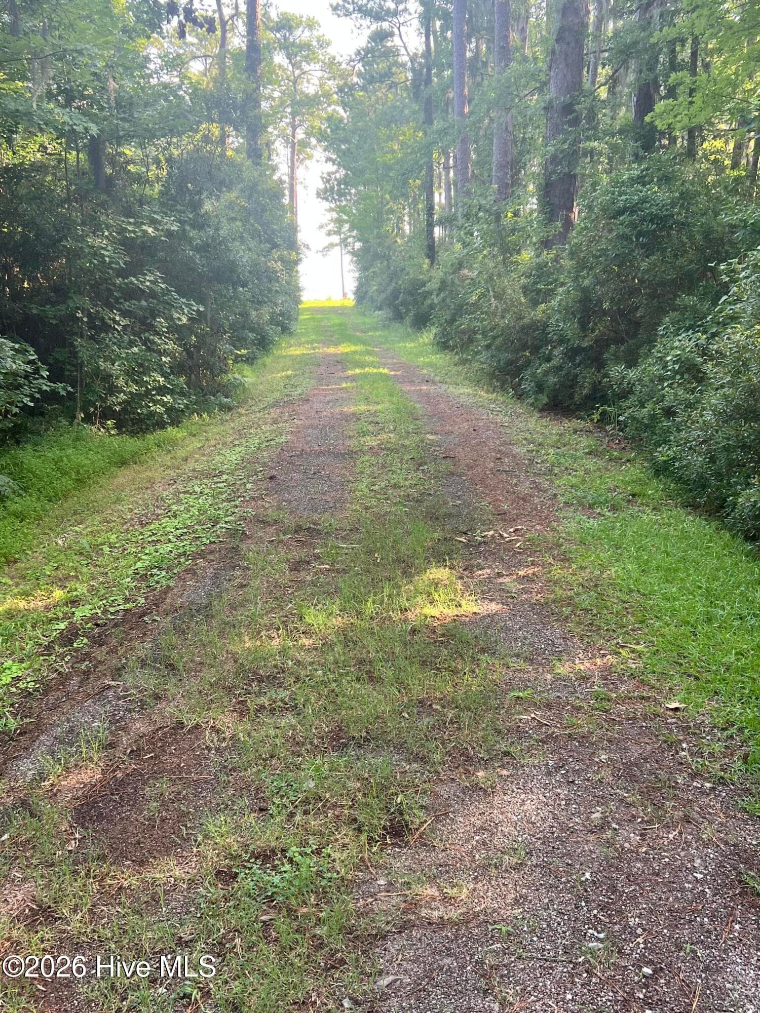 Residential Lot at Lot 2 & 3 Strawhorn Creek Road, Aurora, NC 27806, photo 5 of 18