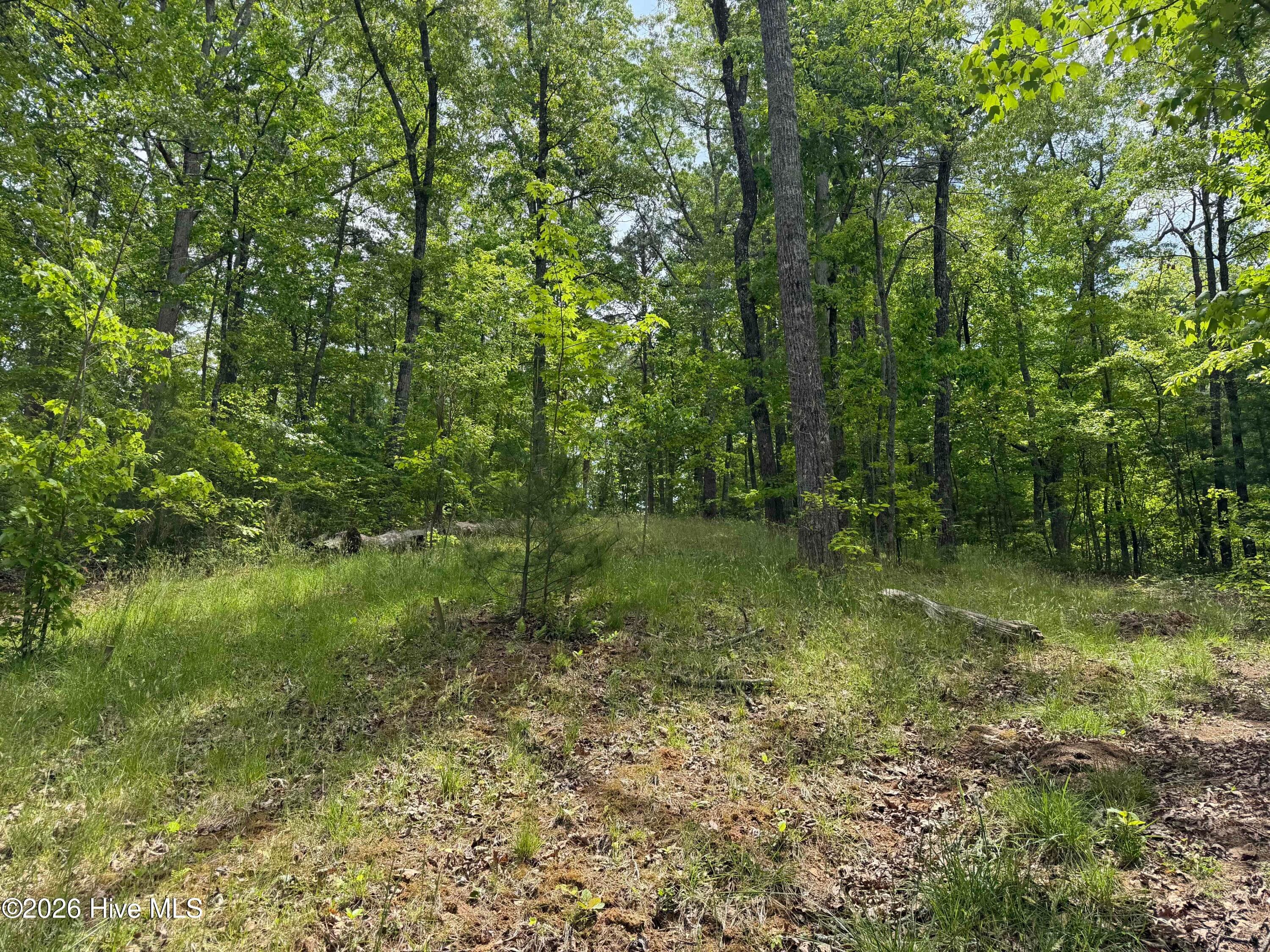 Residential Lot at Multi Lots Black Fox Drive, Murphy, NC 28906, photo 10 of 15