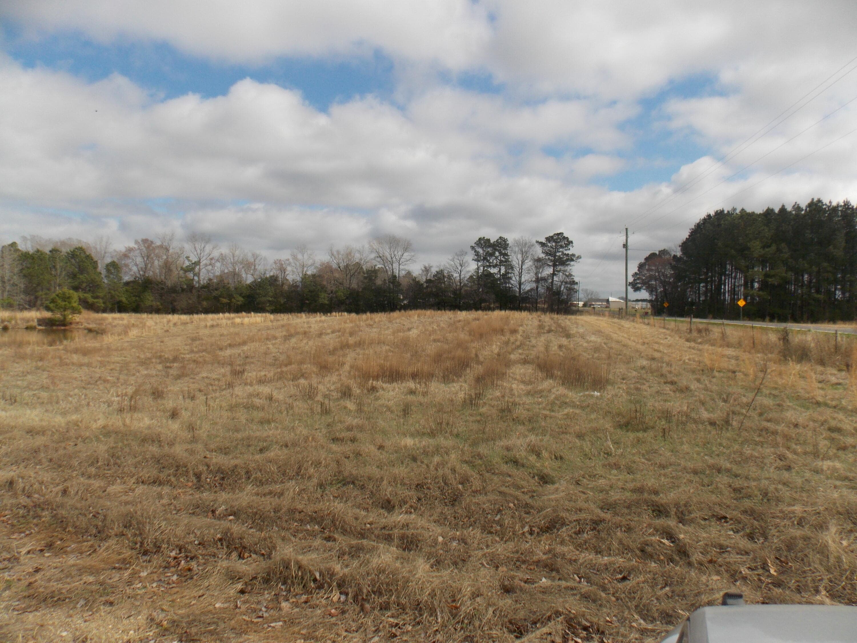 Agriculture at 4232 Double Branches Road, Lincolnton, GA 30817, photo 3 of 16