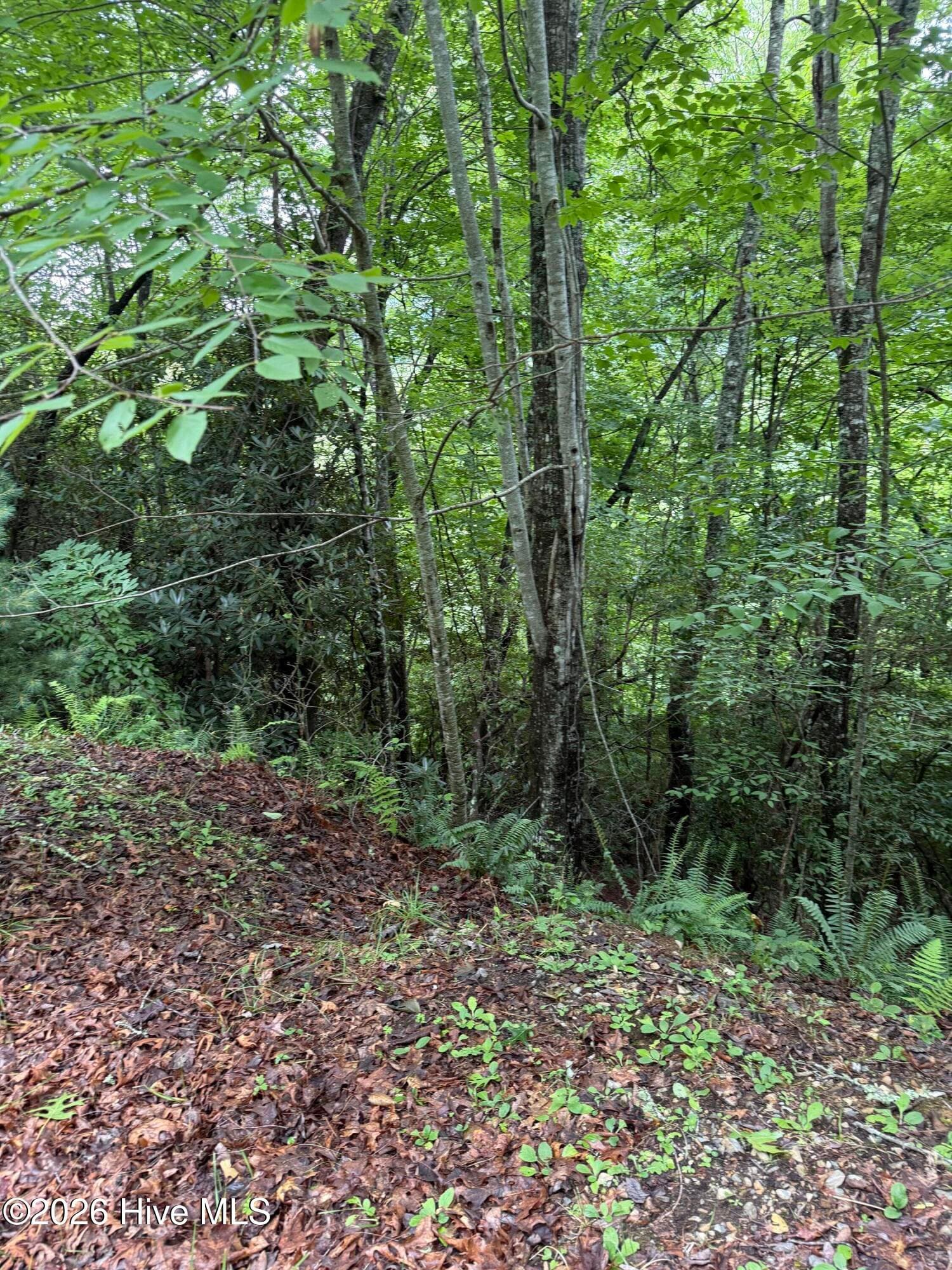 Lot 2 Forest Vista Lane, Topton, NC 28781