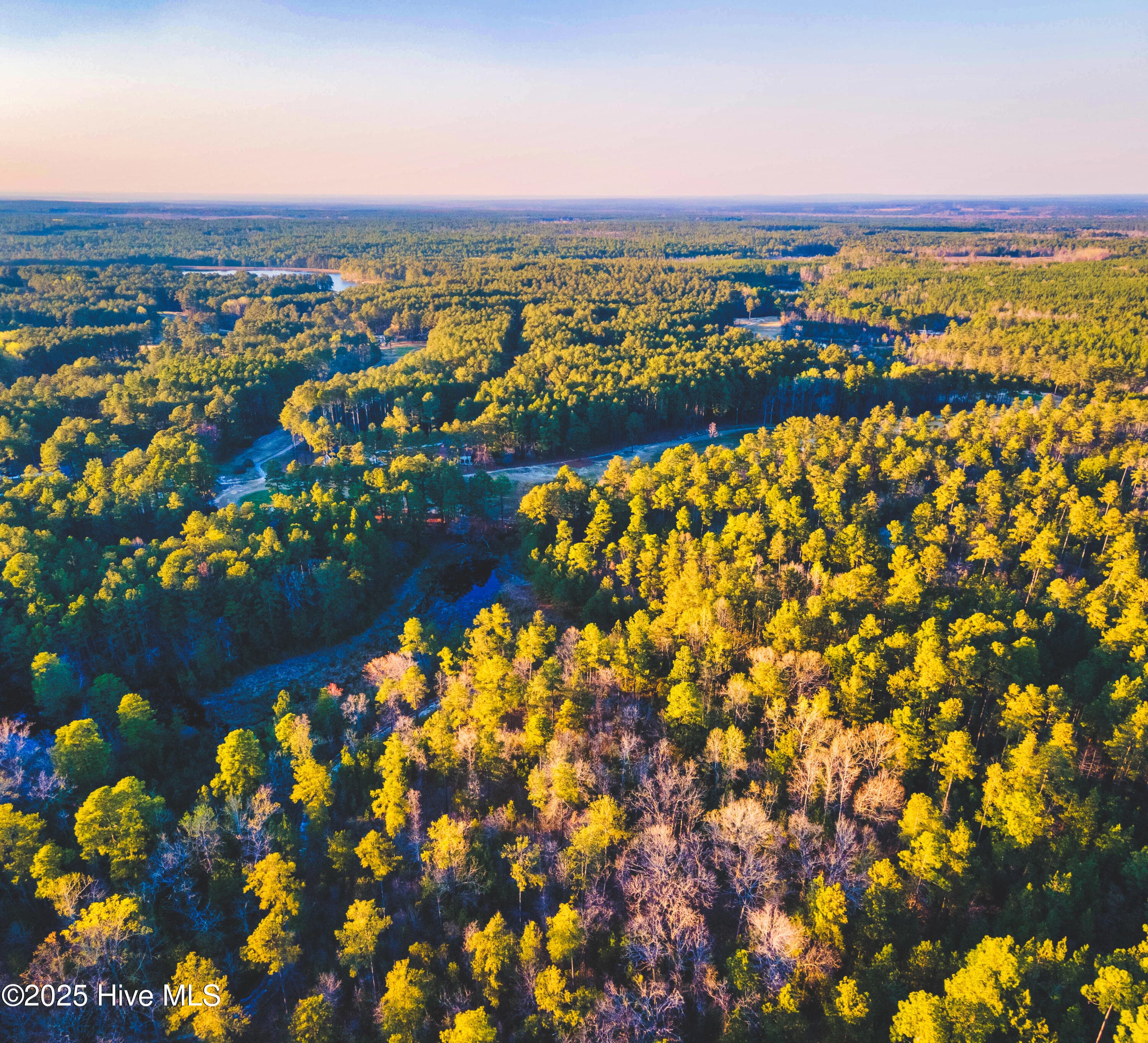 Residential Lot at Trt 6 Peach Orchard Road, Wagram, NC 28396, photo 5 of 5