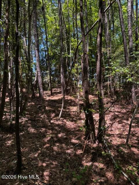 Undeveloped at Lot 1 Dan Road, Robbins, NC 27325, photo 20 of 22