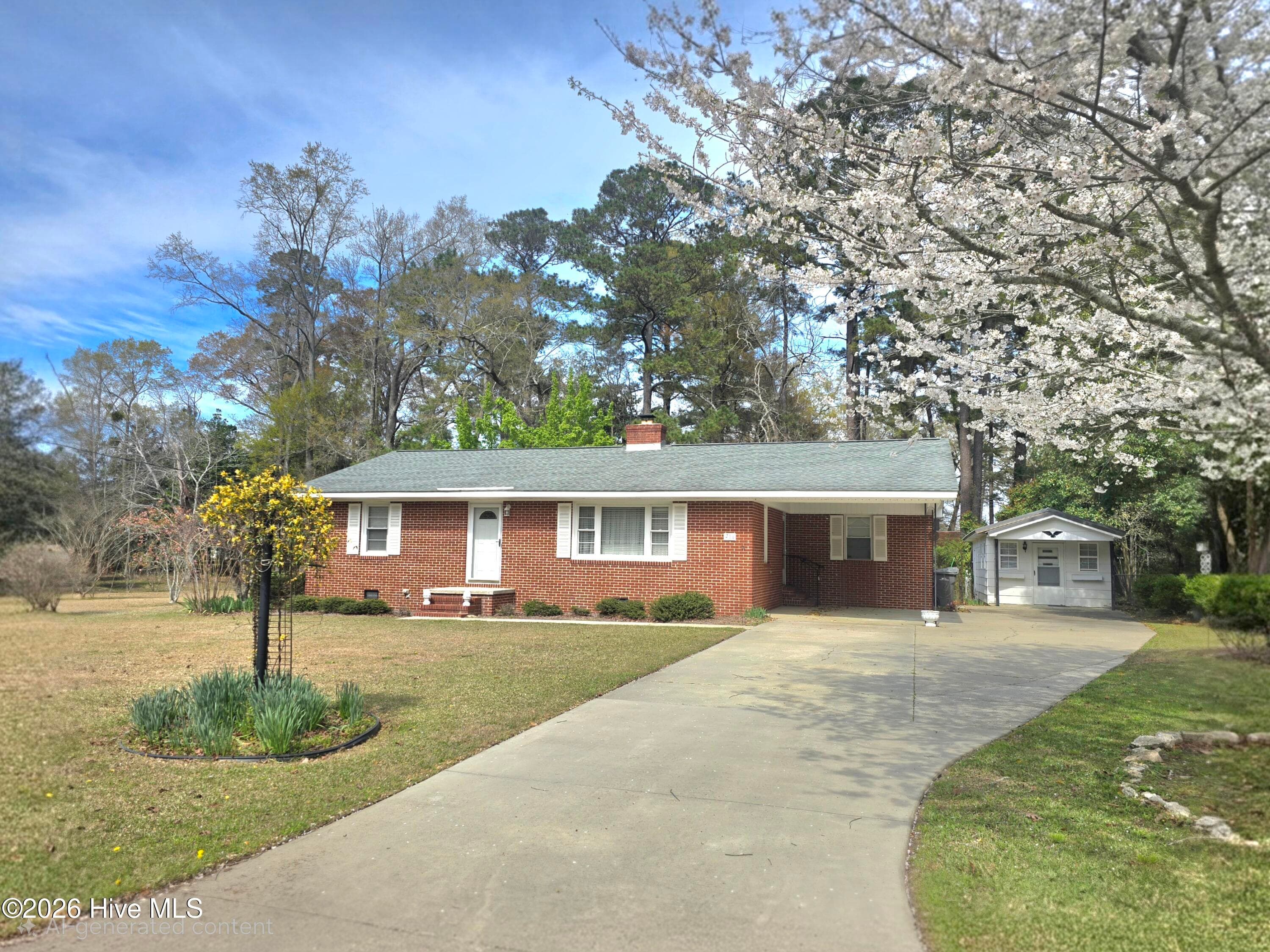 Single Family Residence at 214 E Bladen Street, Bladenboro, NC 28320, photo 9 of 67