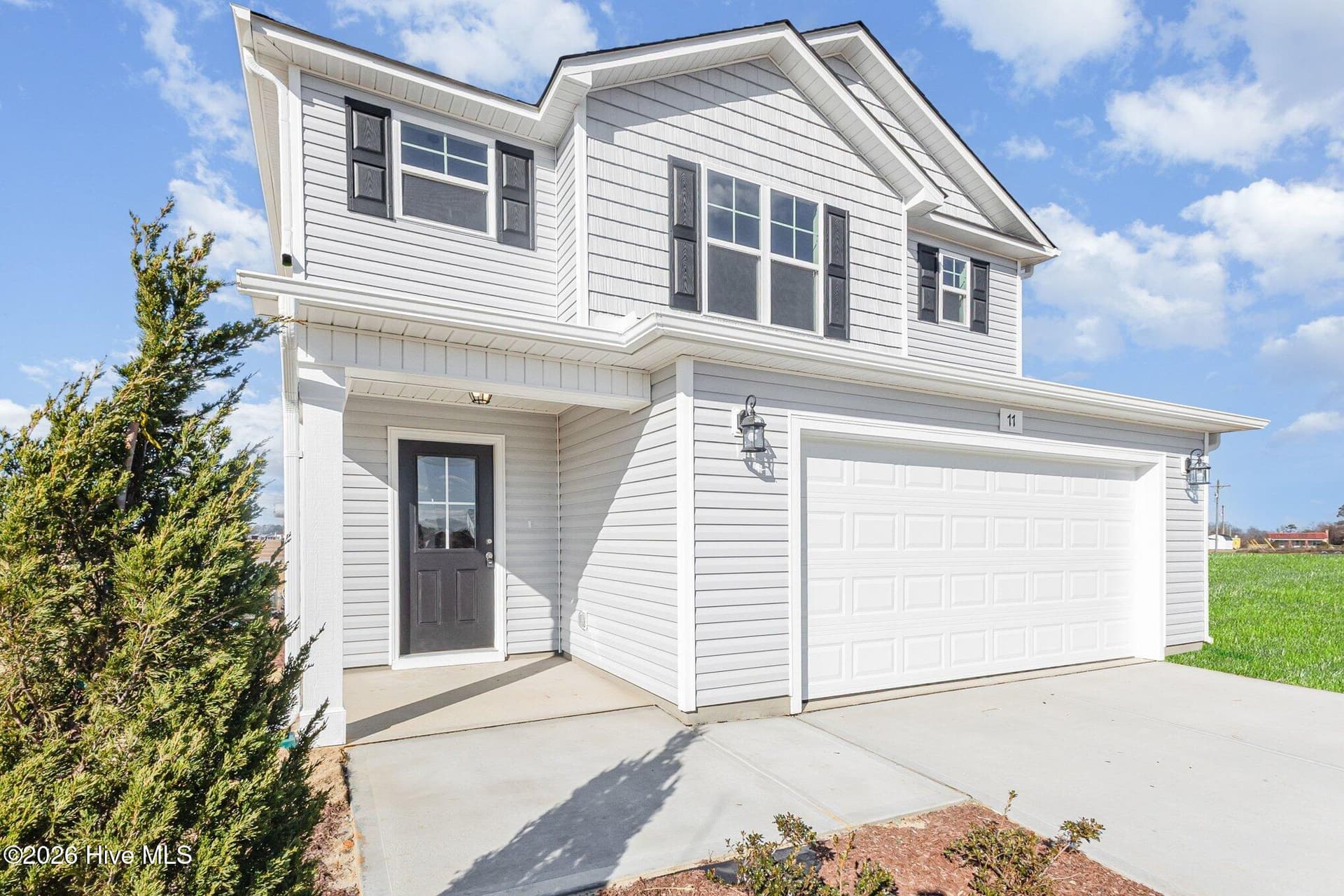 GRASS REPLACEMENT - 77 Littlefield Lane, La Grange, NC 28551