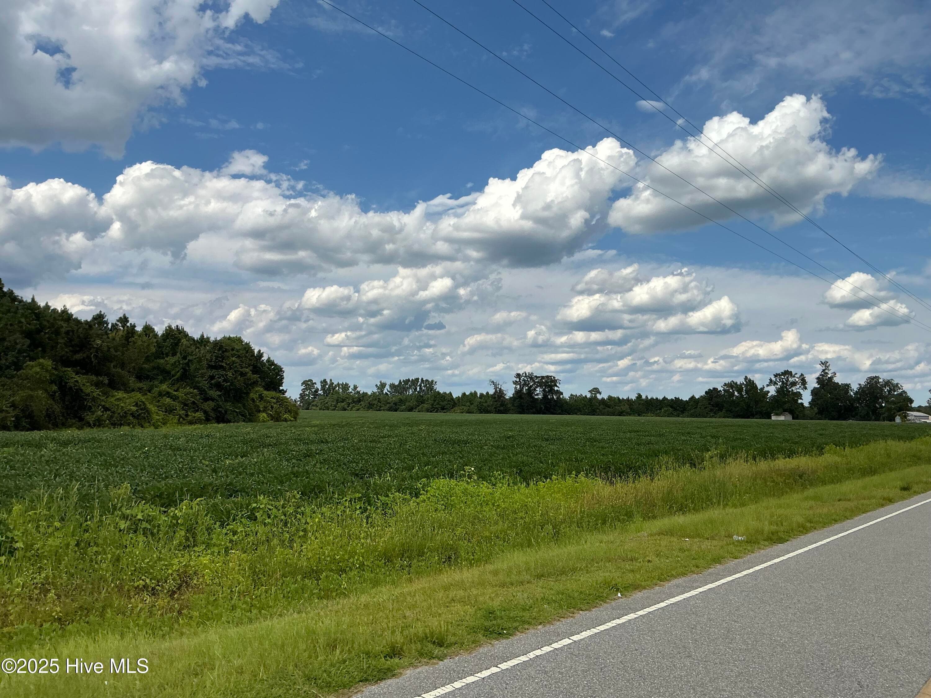 Farm at 2100 Golf Course Road, Whiteville, NC 28472, photo 9 of 10