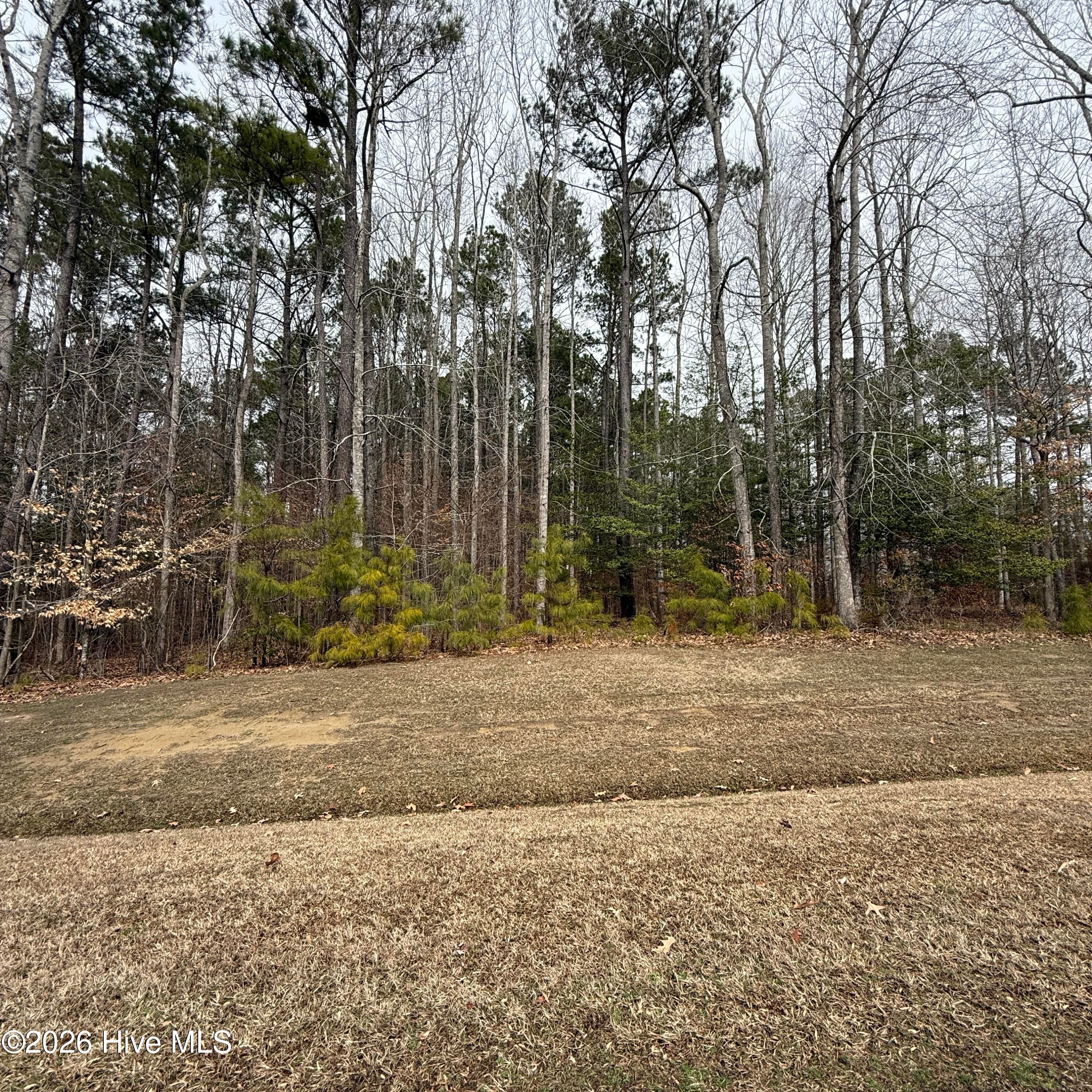 Residential Land at 27 Suttons Landing Road, Hertford, NC 27944, photo 2 of 3