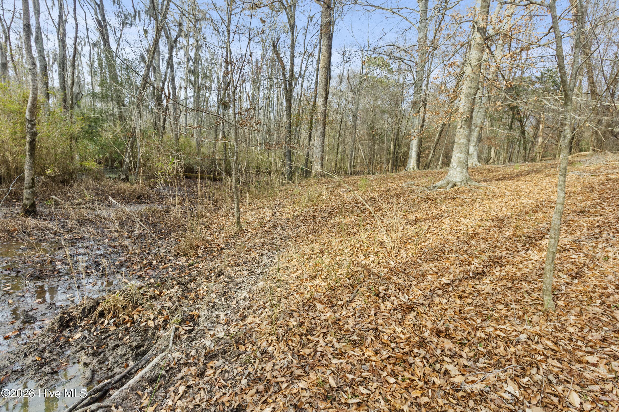 Undeveloped at 2711 Old Airport Road, New Bern, NC 28562, photo 12 of 23