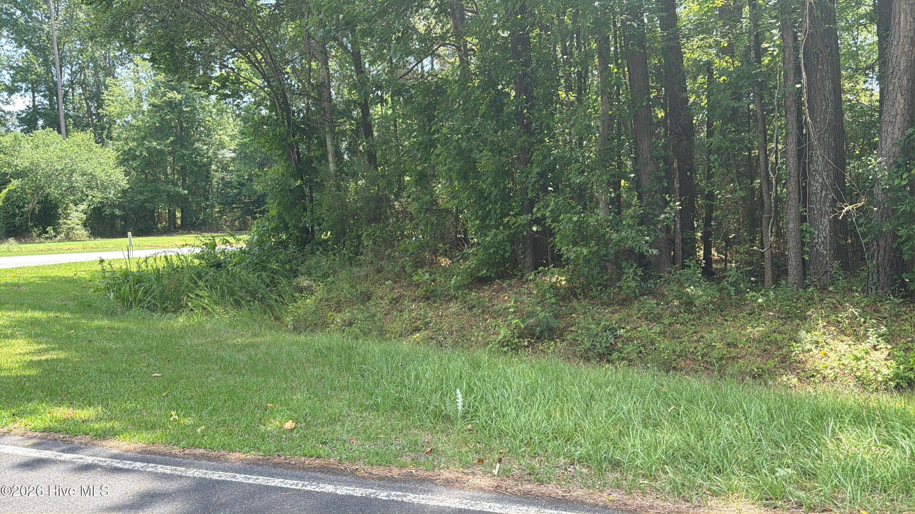 Residential Lot at 0 Sr 1916 & 1917, Aurora, NC 27806, photo 8 of 8