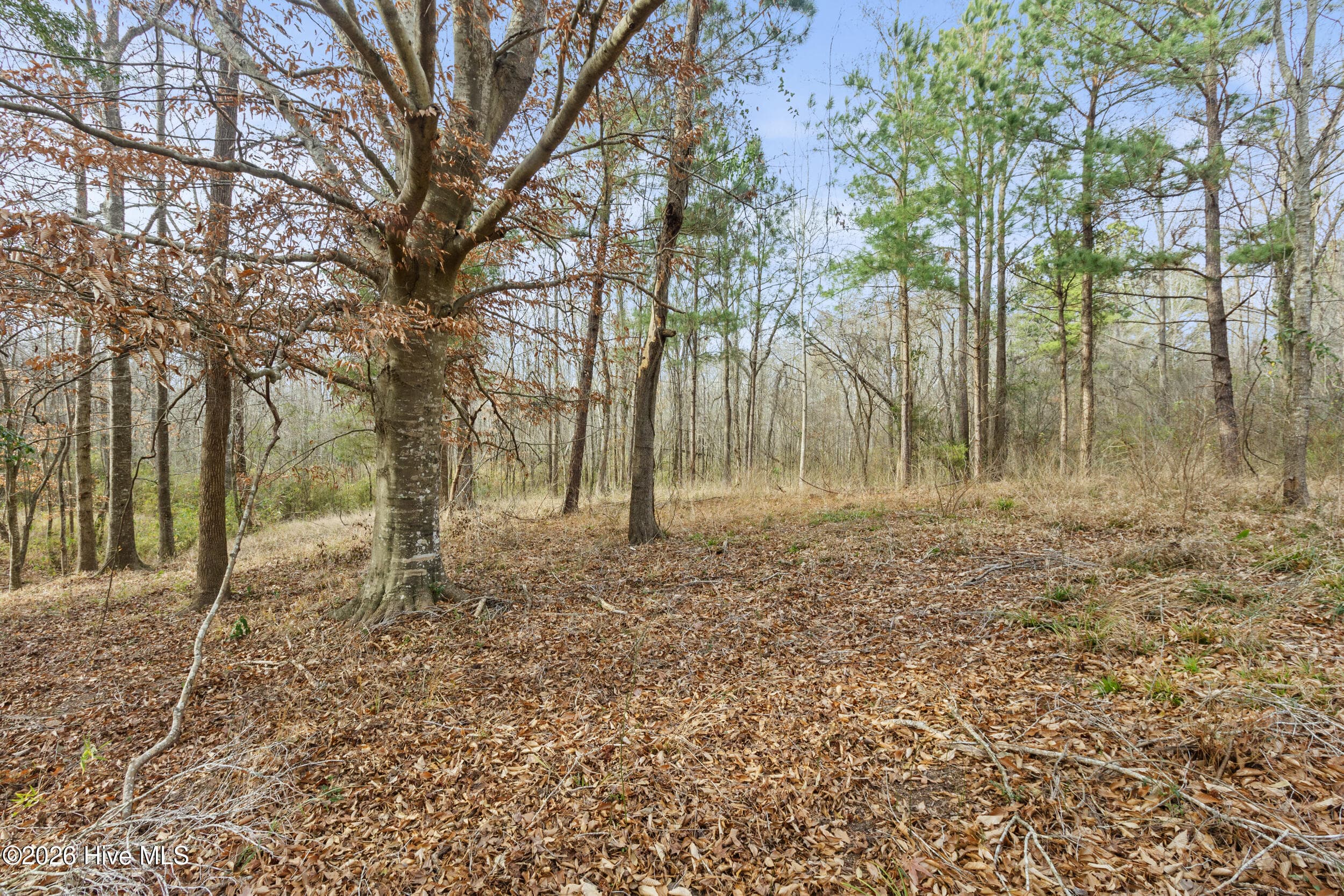 Undeveloped at 2711 Old Airport Road, New Bern, NC 28562, photo 2 of 23