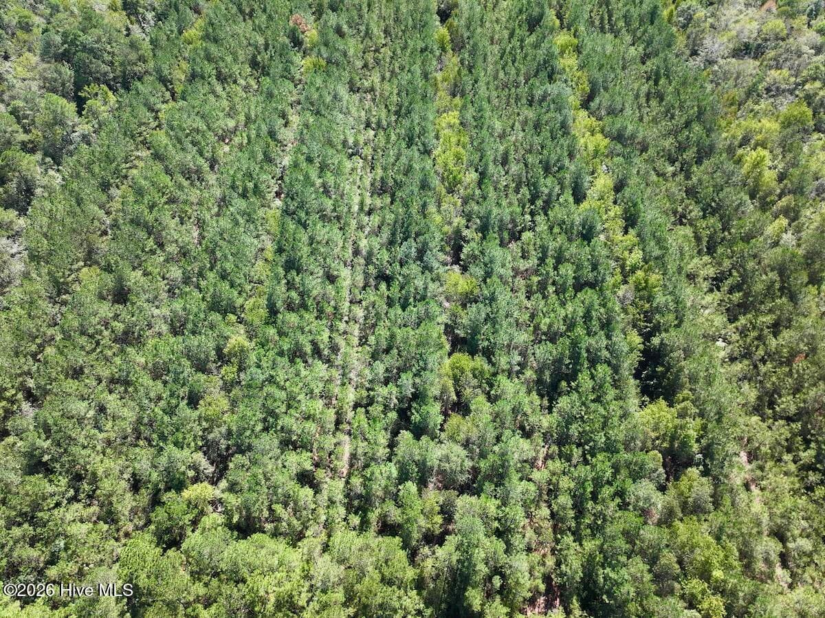 Recreation at 00 Hwy 258 S, Deep Run, NC 28525, Deep Run, photo 7 of 39
