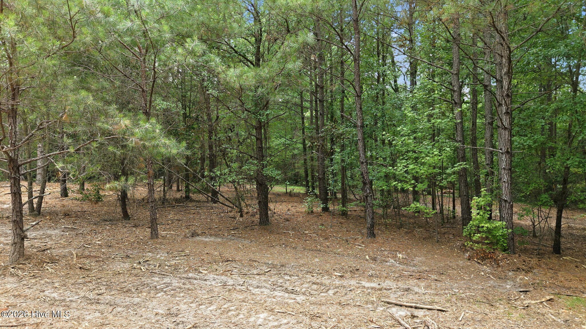 Wooded at 329 Cypress Farm Road, Cameron, NC 28326, photo 10 of 13