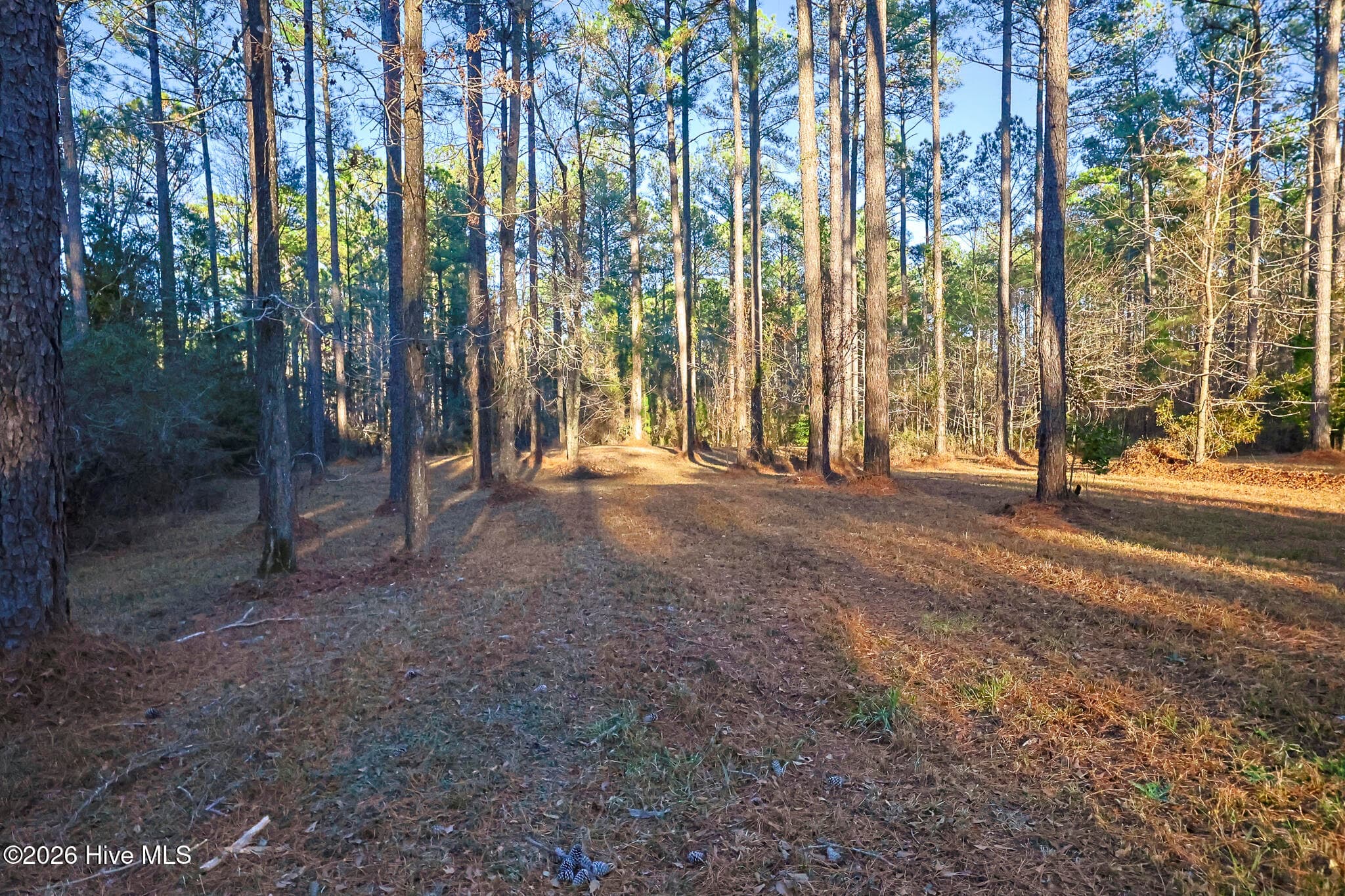 Wooded at 88 22 Cape Hatteras Point, Oriental, NC 28571, photo 5 of 9