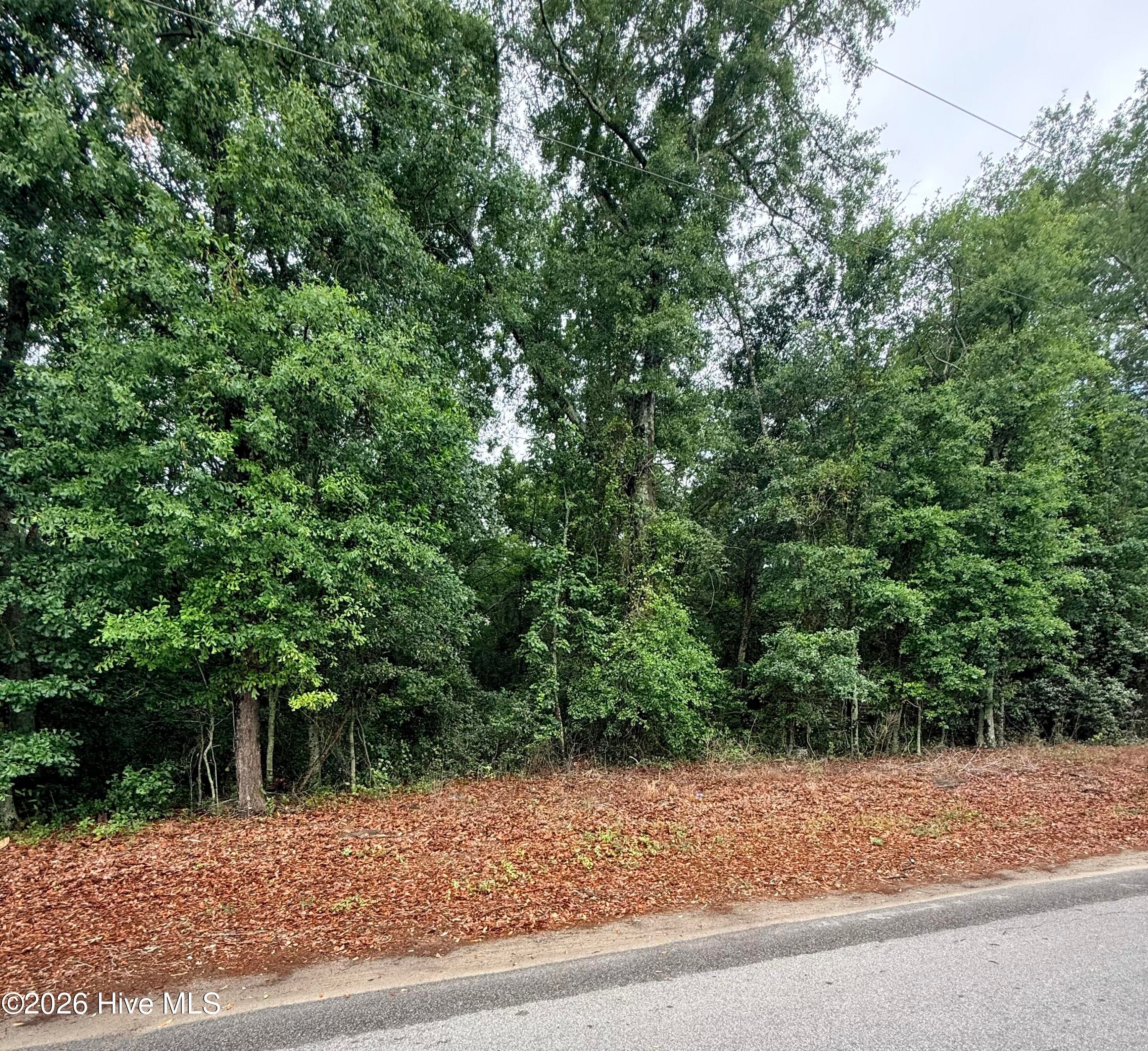 Wooded at 0 Alma Drive, North, SC 29112, photo 2 of 6
