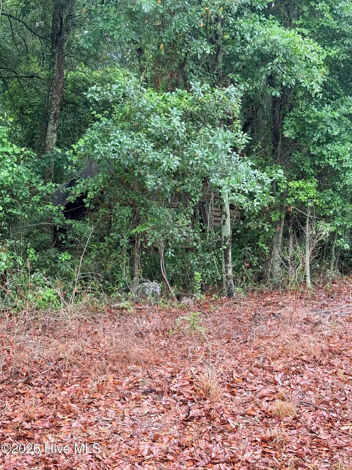 Wooded at 0 Alma Drive, North, SC 29112, photo 5 of 6