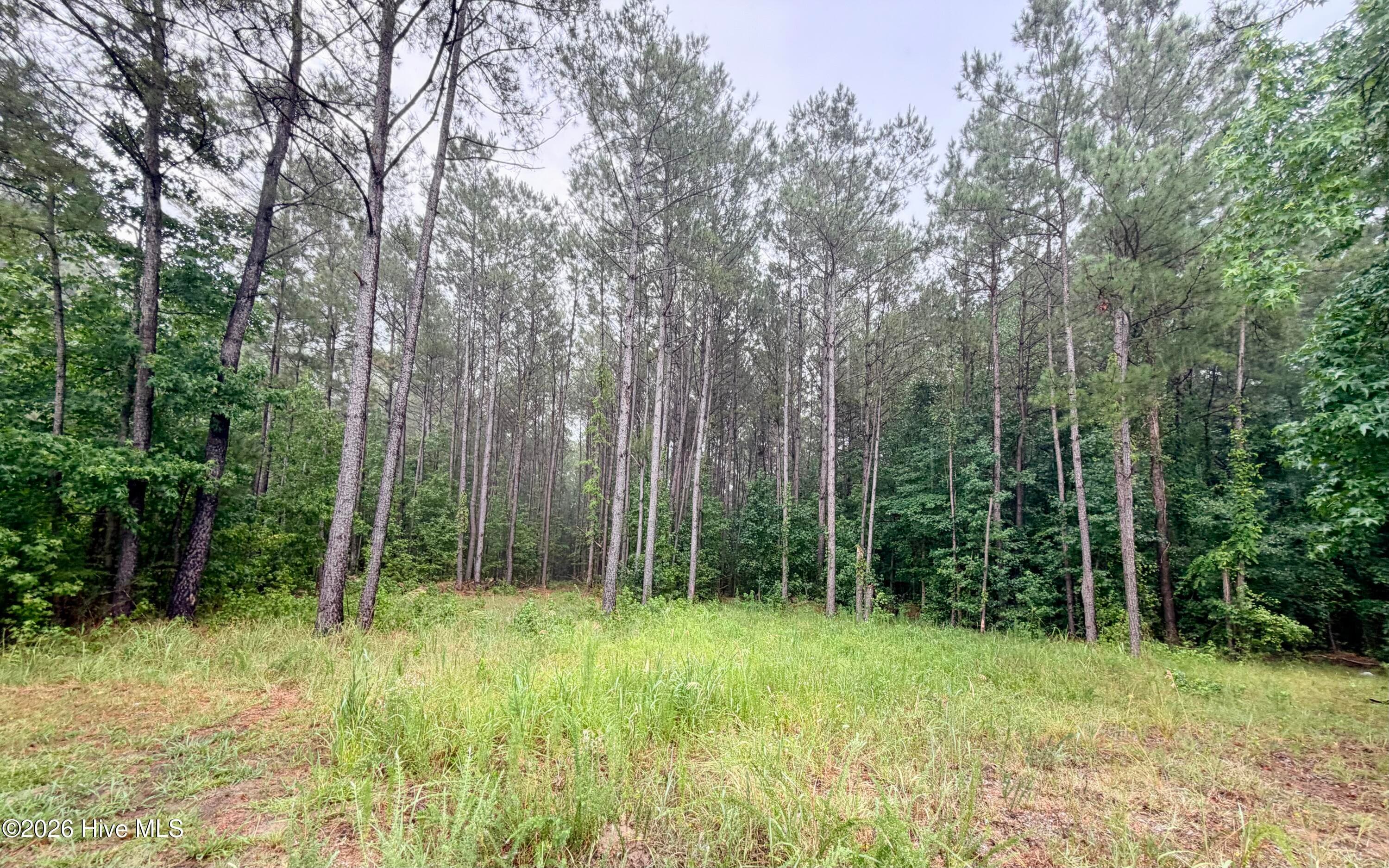 Tract F Us 421, Currie, NC 28435