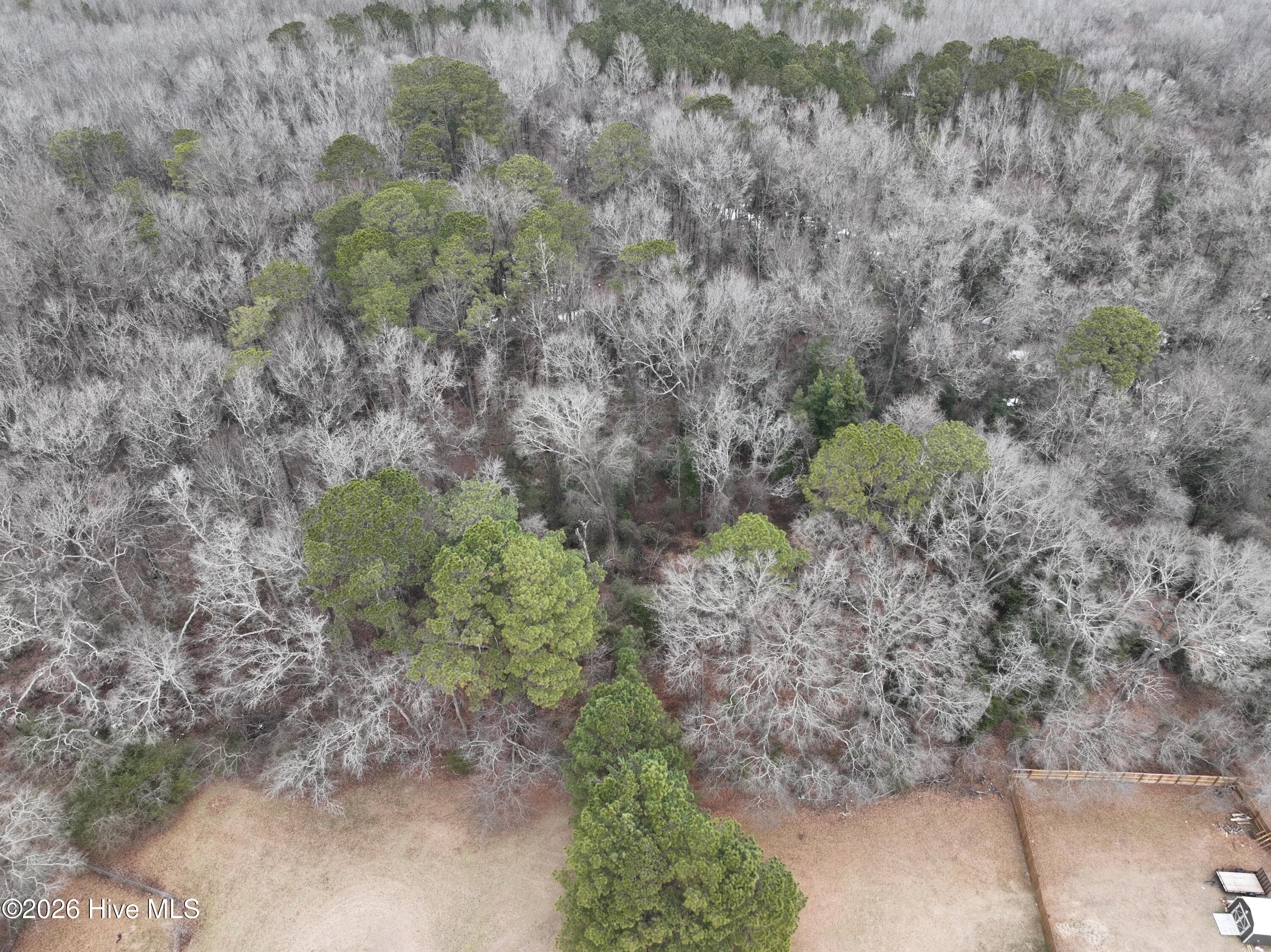 Residential Lot at 102 Colt Court, Pikeville, NC 27863, photo 4 of 6