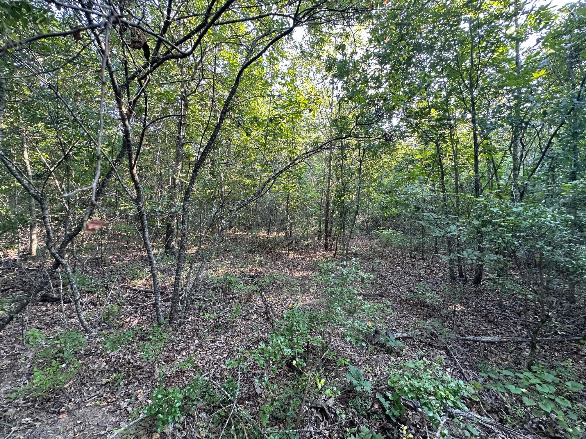 Undeveloped at 2576 Jessie James Pond Road, Wrens, GA 30833, photo 43 of 56