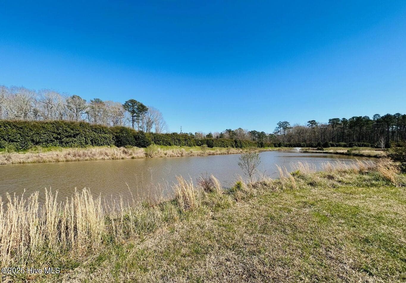 Residential Lot at 35 Palomino Court, Hertford, NC 27944, photo 5 of 11