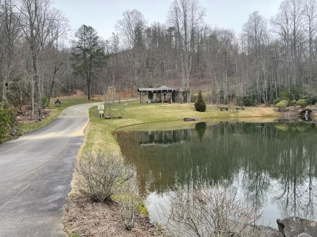 41 41 Mystic Ridge Way W, Topton, NC 28781