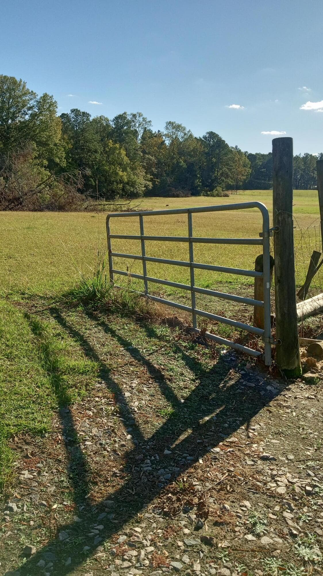Undeveloped at Tbd2 Sc-23, Edgefield, SC 29824, photo 4 of 41