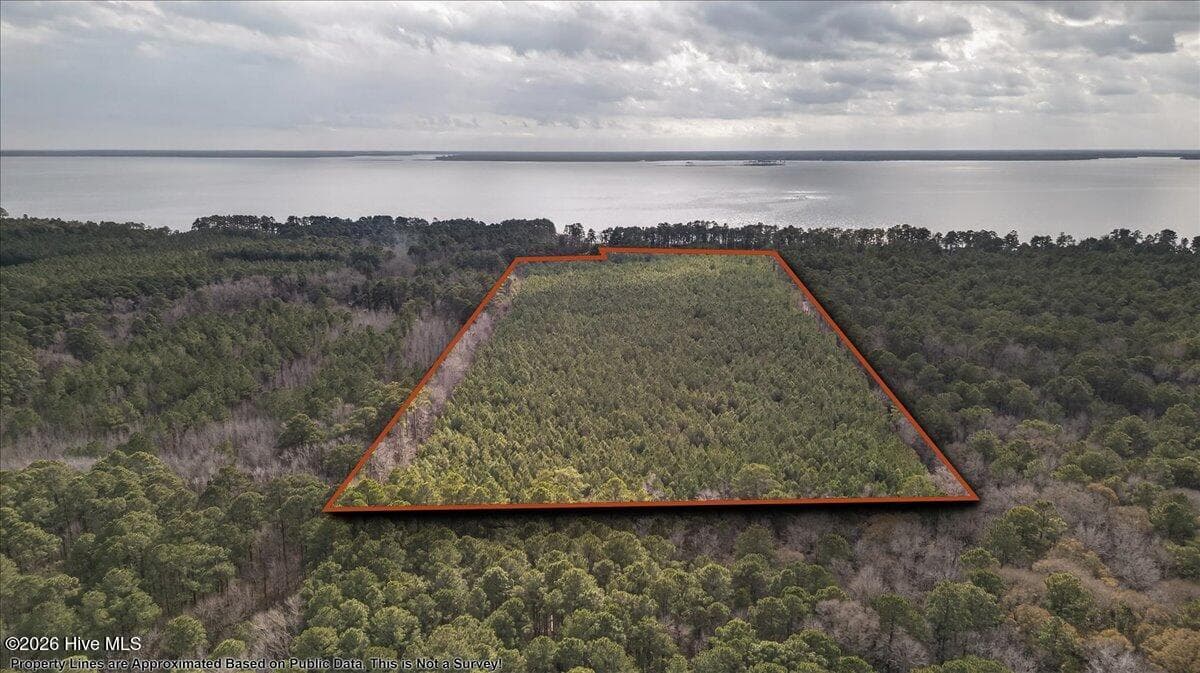 Wooded at 2162 Old Pamlico Beach Road W, Belhaven, NC 27810, photo 13 of 25