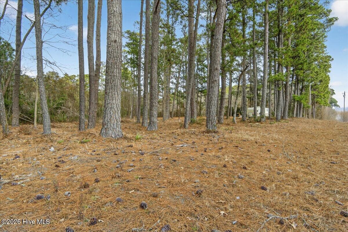 Wooded at 2162 Old Pamlico Beach Road W, Belhaven, NC 27810, photo 5 of 25