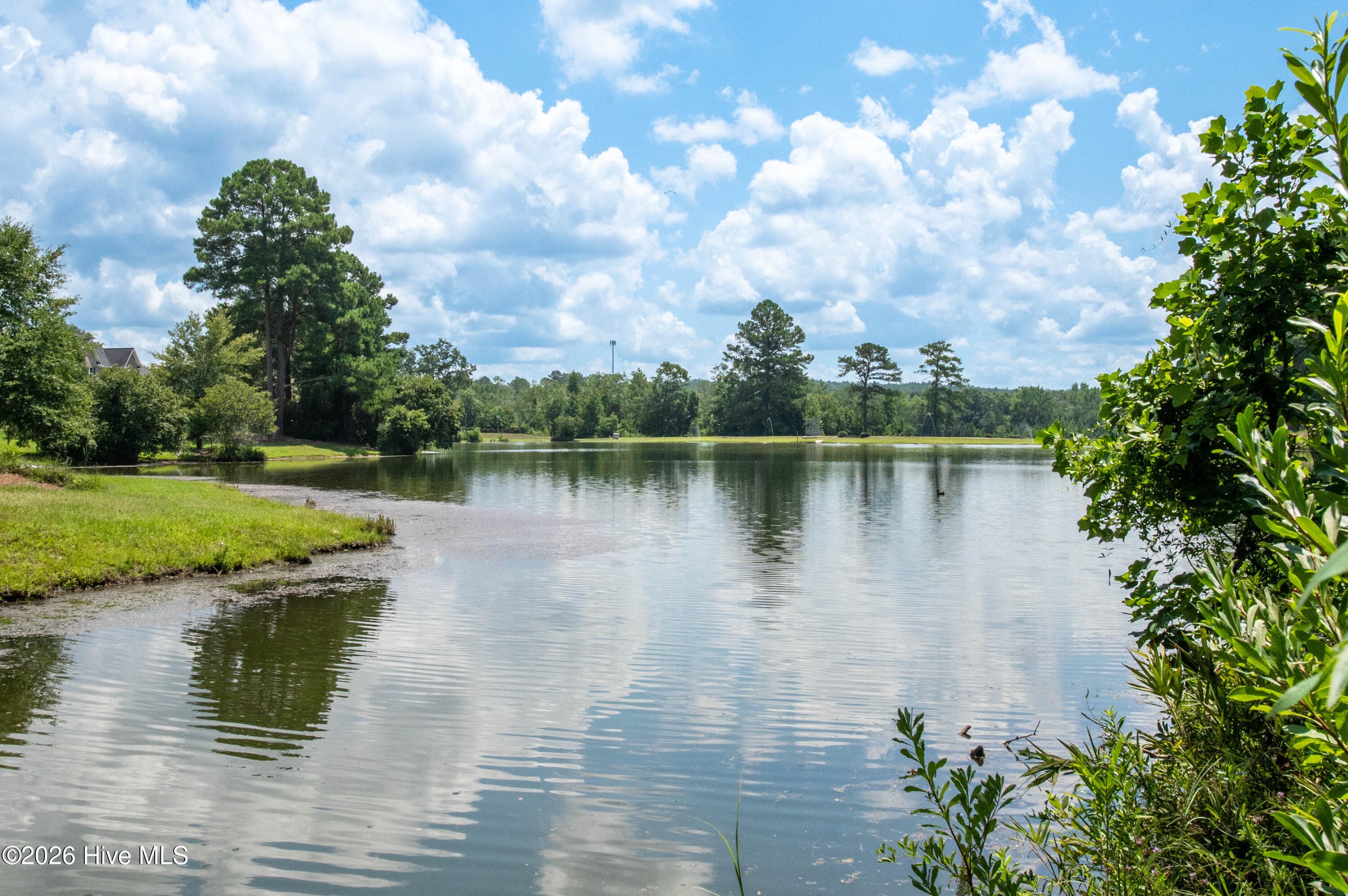 Single Family Residence at 4026 Shimmer Lake Lane, North Augusta, SC 29841, photo 9 of 12